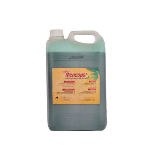 ed541f86-cafd-49a9-bfbd-04997b263334