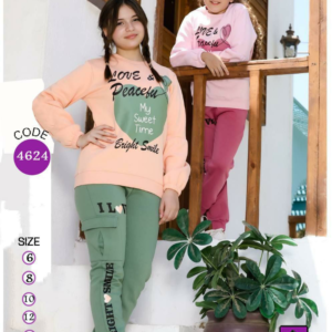 Screenshot_2024-11-27-00-37-08-21