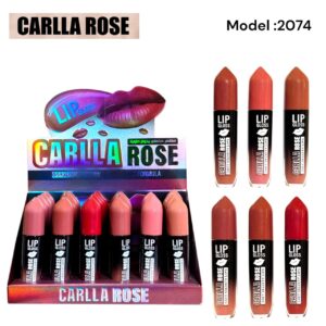 WhatsApp Image 2025-12-03 at 4.24.24 PM